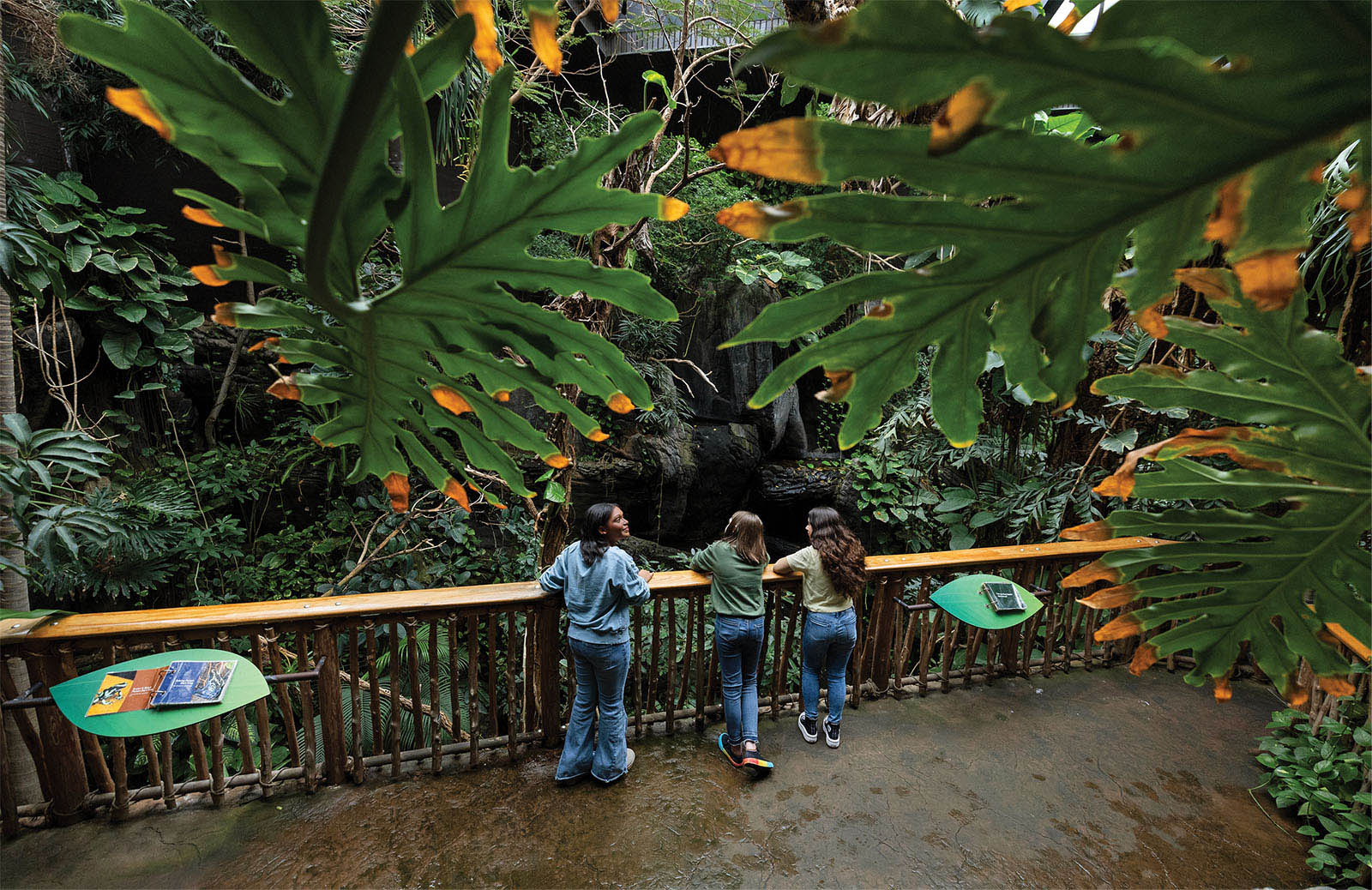 Visitors in the indoor rainforest