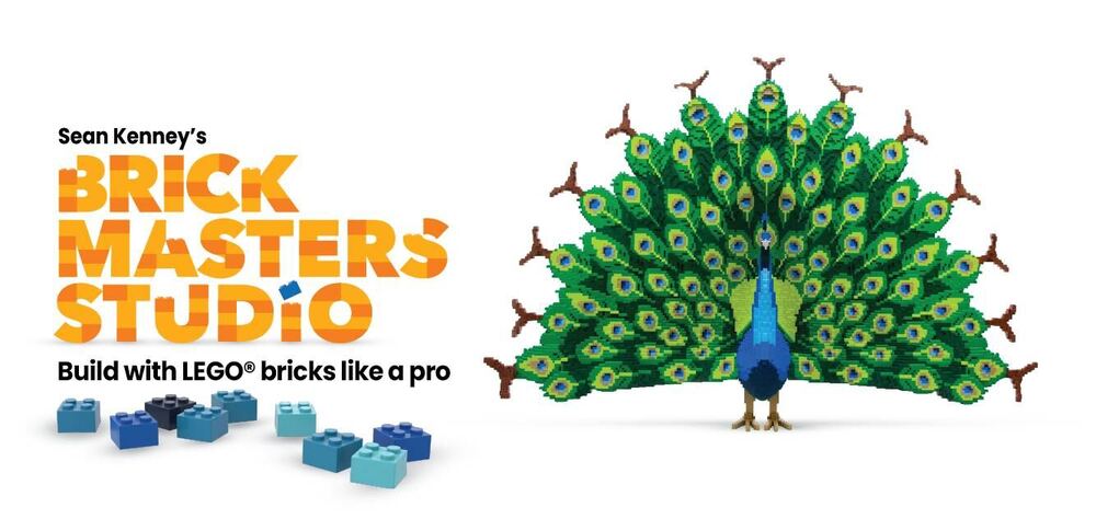 Coming Soon: Brick Masters Studio